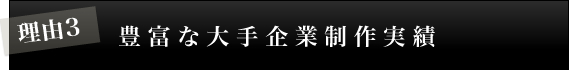 理由3 豊富な大手企業制作実績